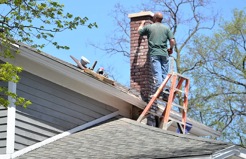 Chimney & Fireplace Inspections Services in Daphne, AL